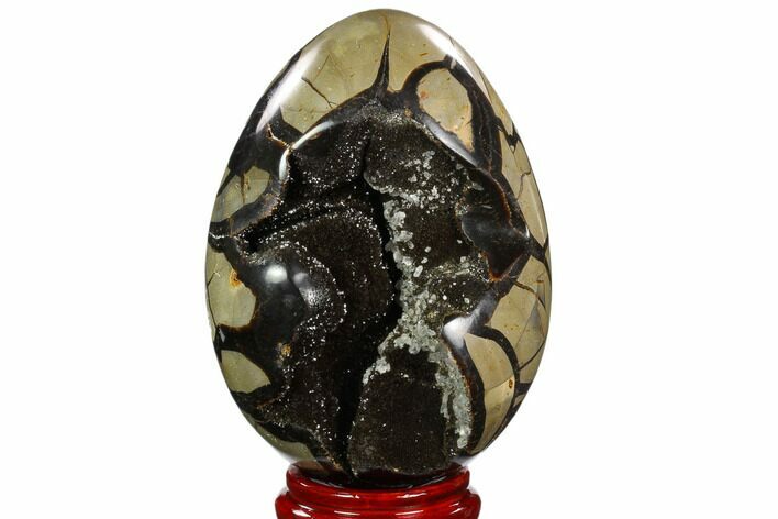 Septarian Dragon Egg Geode - Black Crystals #122525